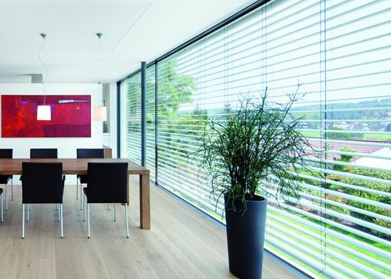 Blinds & Shutters