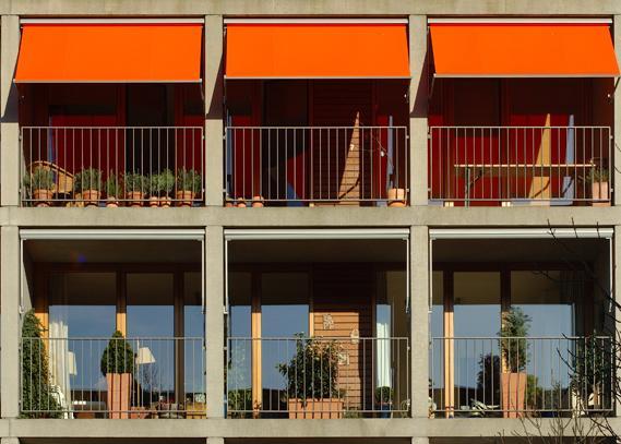Blinds & Shutters